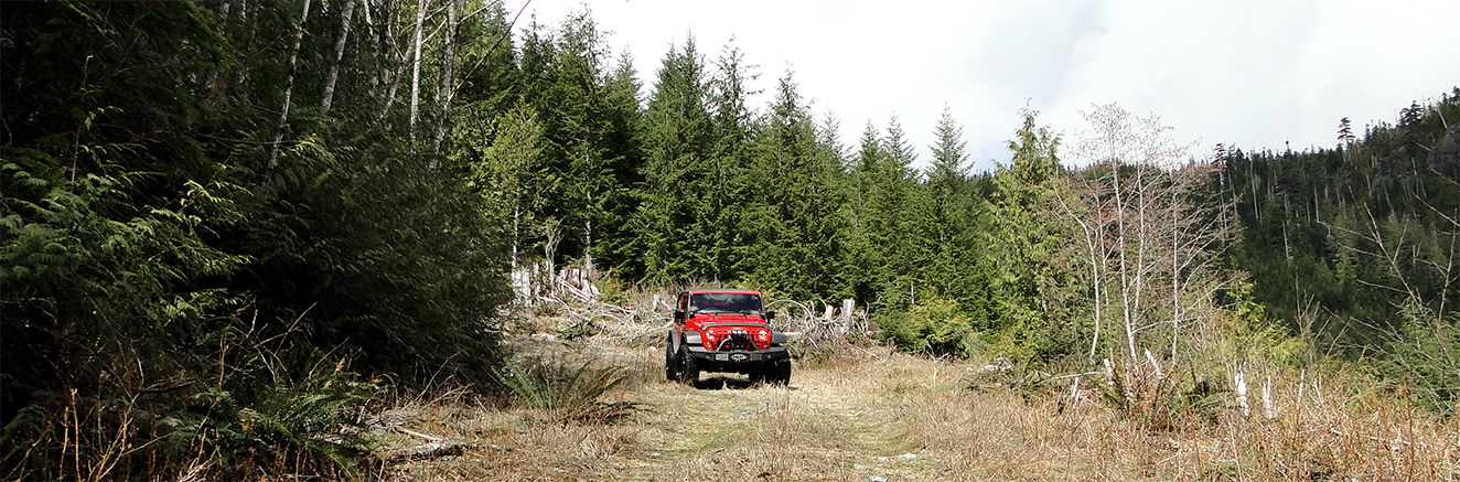Driving a Jeep for an Outfitter - Hunting Area Surveillance