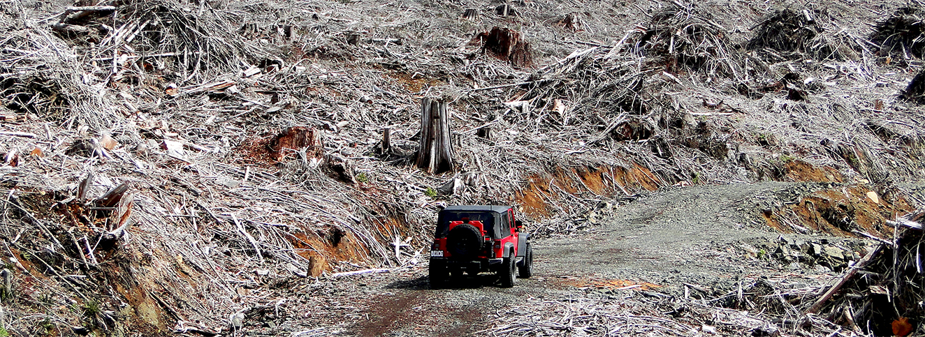 Jobs for Jeep Drivers in the Wilderness